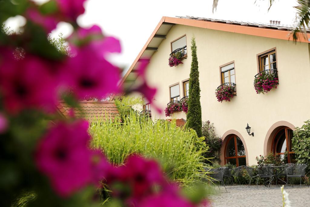 Villa Hochdoerffer Gaestehaus Landau in der Pfalz Exterior photo