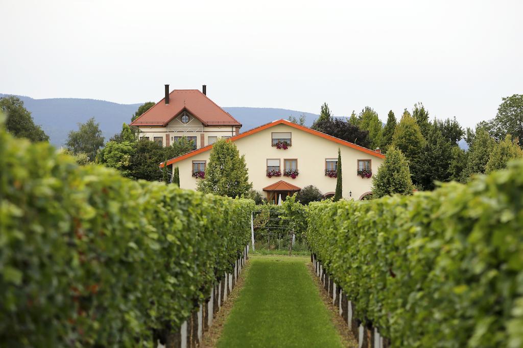 Villa Hochdoerffer Gaestehaus Landau in der Pfalz Exterior photo